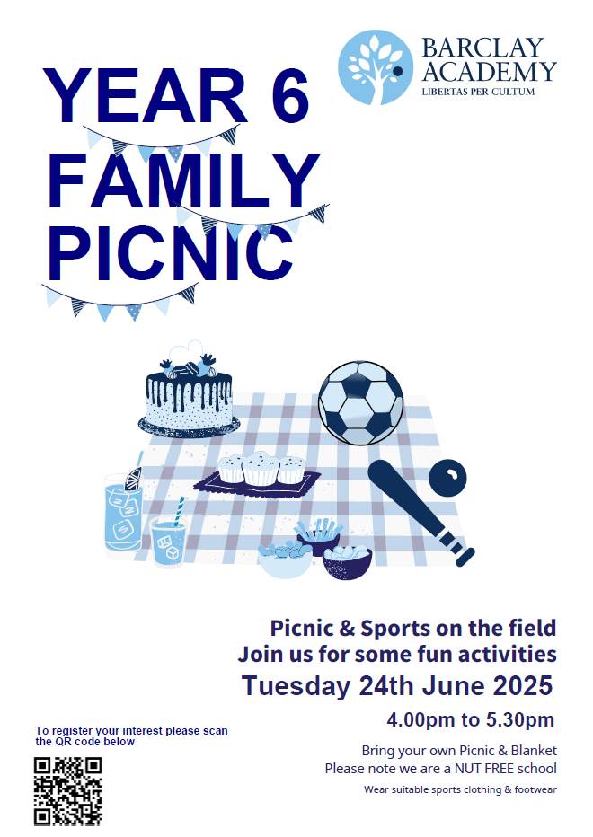 Year 6 picnic